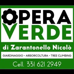OPERA VERDE di Zarantonello Nicolò