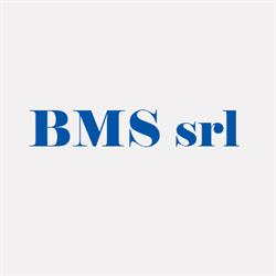 Bms