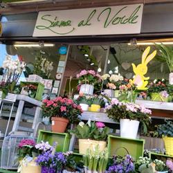 siamo al verde di fontanella anna