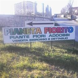 Pianeta Fiorito