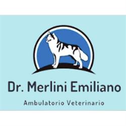 Ambulatorio Veterinario Dr. Merlini Emiliano