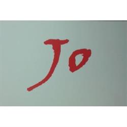 Jo Hair Stylist