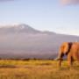 Africa - CGTravel
