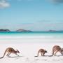 Australia - CGTravel