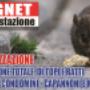 derattizzazione topi e ratti