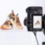 Fotografare scarpe