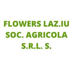 Vivaio Flowers Laz.Iu Società Agricola