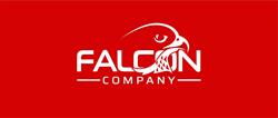 Falcon Company - Noleggio Auto Moto Furgoni a Lungo Termine