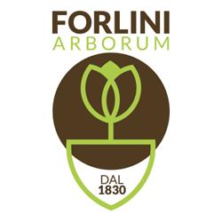 Vivaio Forlini