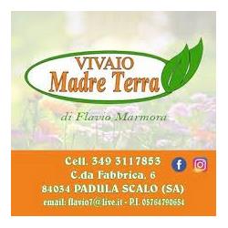 Madre Terra