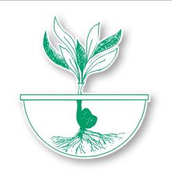 Societa ' Agricola Semplice Paolini
