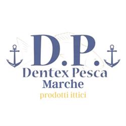 Dentex Pesca Marche