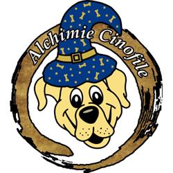 Resort per Cani Alchimie Cinofile