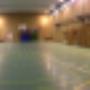 PALESTRA Pisano 2