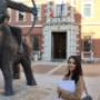 avvocato penalista Varese e Busto Arsizio