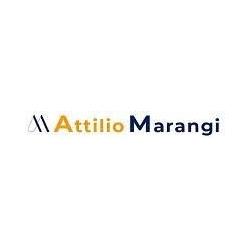 Attilio Marangi - Consulente Marketing per Psicologi e Professionisti Sanitari