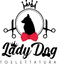 Toelettatura Lady Dog