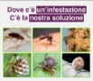 Informativa