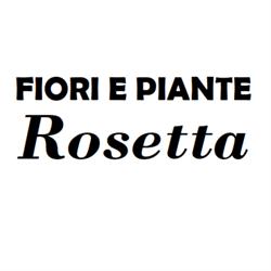 Fiori e Piante Rosetta