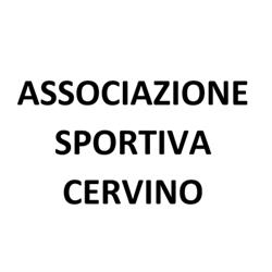 Animazione Sport Divertimento Basket e Minibasket