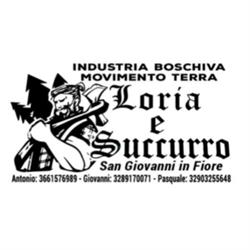 Industria Boschiva Movimento Terra Loria & Succurro