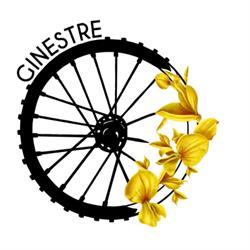 Ginestre Noleggio  E-Bike