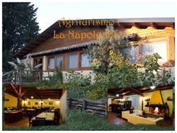 Agriturismo La Napoleona