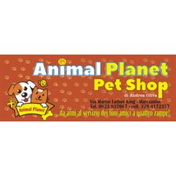 Animal Planet
