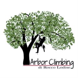 Arbor Climbing Giardinaggio-Potatura e Abbattimenti Controllati in Tree Climbing