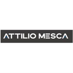 Autofficina Mesca
