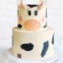Torta per bambini