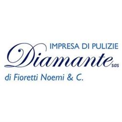 Diamante impresa di pulizie