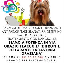 L' Isola dei Cuccioli