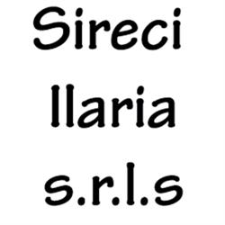 Sireci Ilaria