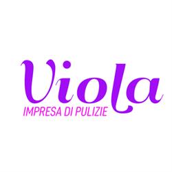 Viola impresa di pulizia
