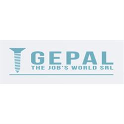 Gepal The Job'S World