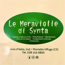 Le meraviglie di Synta