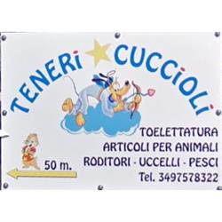 Teneri Cuccioli