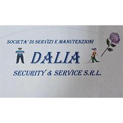 Dalia Security & Service