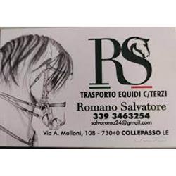 Romano Trasporto Cavalli