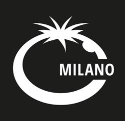 Blue Tomato Shop Milano