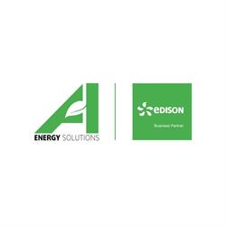 Punto Edison Business Partner