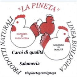 La Pineta Germignaga