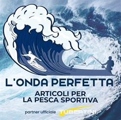 L'onda Perfetta