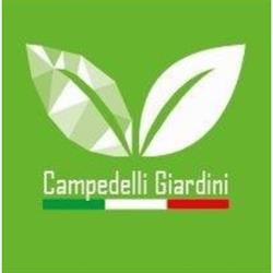 Campedelli