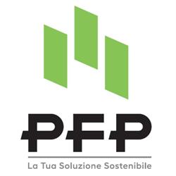 P.F.P Project e Consulting
