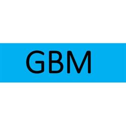 Gbm
