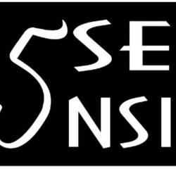 Bar 5 sensi