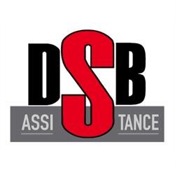 DSb Assistance - investigazioni e Sicurezza