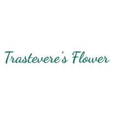 Casa Vacanze Trastevere’S Flower